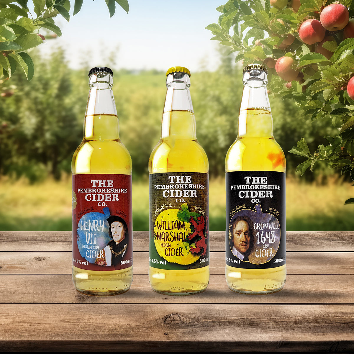 3 Bottles of Cider